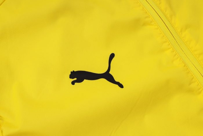 Borussia Dortmund 24/25 Windbreaker Yellow - 图片 5
