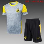 Borussia Dortmund Light Grey Splatter Print Short Sleeve Training Shirt