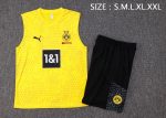 Borussia Dortmund 23/24 Yellow Vest - 图片 2