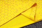 Borussia Dortmund 23/24 Yellow Vest - 图片 5