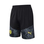Borussia Dortmund 23/24 Yellow Vest - 图片 7