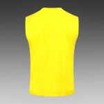 Borussia Dortmund 23/24 Yellow Vest - 图片 8