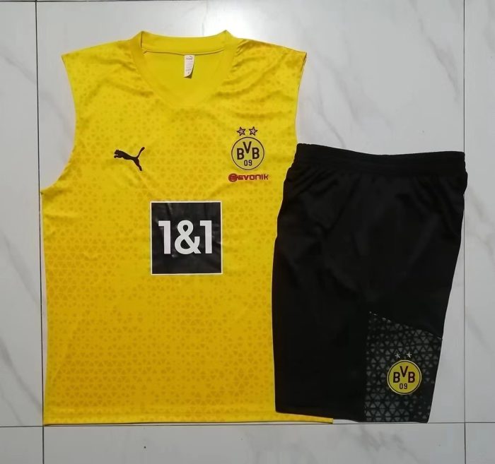 Borussia Dortmund 23/24 Yellow Vest - 图片 9
