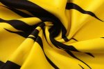 2021 Borussia Dortmund Yellow Long Zip Jacket with Hood S-2XL - 图片 3