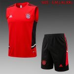 Bayern Munich 22/23 Red Vest