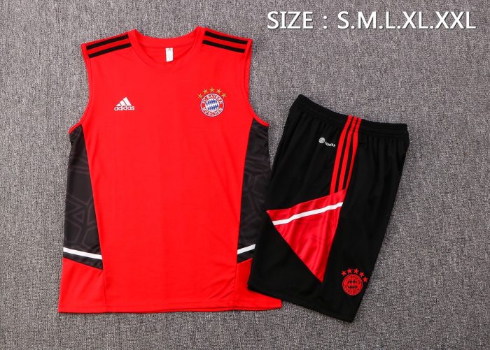Bayern Munich 22/23 Red Vest - 图片 2
