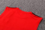 Bayern Munich 22/23 Red Vest - 图片 4
