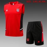 Bayern Munich 22/23 Red Vest - 图片 8