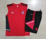 Bayern Munich 22/23 Red Vest - 图片 9