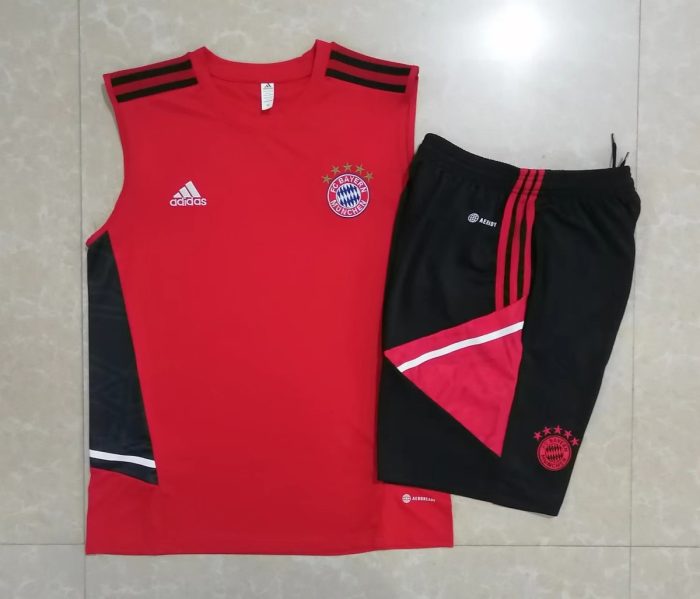 Bayern Munich 22/23 Red Vest - 图片 9
