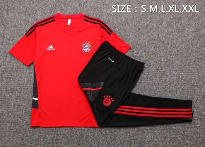 Bayern Munich 22-23 Red Short Sleeve Training Shirt - 图片 7