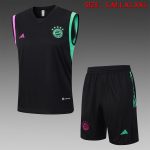 Bayern Munich 23/24 Black Vest