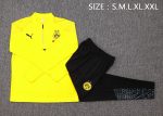 Borussia Dortmund 23-24 Yellow Half-Zip Jacket - 图片 2