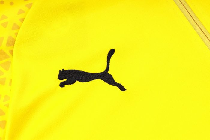 Borussia Dortmund 23-24 Yellow Half-Zip Jacket - 图片 5