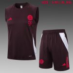 Bayern Munich 24/25 Vest Red Brown
