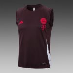Bayern Munich 24/25 Vest Red Brown - 图片 8