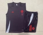 Bayern Munich 24/25 Vest Red Brown - 图片 9