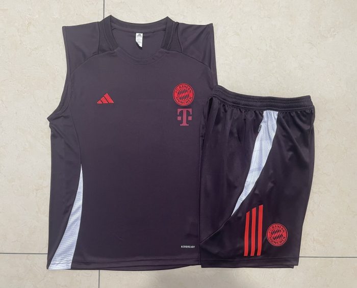 Bayern Munich 24/25 Vest Red Brown - 图片 9