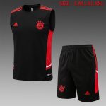 Bayern Munich 22/23 Black Vest with Red Trim