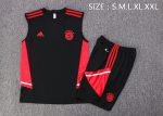 Bayern Munich 22/23 Black Vest with Red Trim - 图片 2