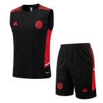 Bayern Munich 22/23 Black Vest with Red Trim - 图片 8
