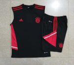 Bayern Munich 22/23 Black Vest with Red Trim - 图片 9