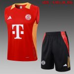 Bayern Munich 24-25 Red Vest