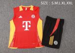 Bayern Munich 24-25 Red Vest - 图片 2