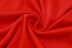 Bayern Munich 24-25 Red Vest - 图片 4