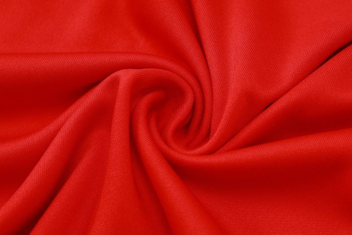 Bayern Munich 24-25 Red Vest - 图片 4