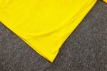 Borussia Dortmund 24/25 Yellow Half-Zip Jacket (Player Version) - 图片 5