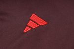 Bayern Munich 24-25 Half-Zip Jacket Red Brown - 图片 5