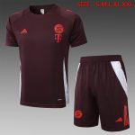 Bayern Munich 24-25 Short Sleeve Training T-Shirt Red Brown