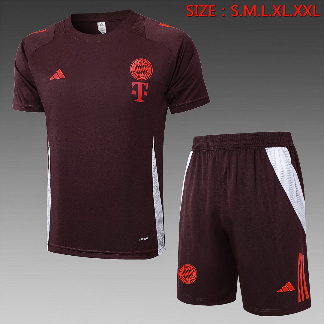 Bayern Munich 24-25 Short Sleeve Training T-Shirt Red Brown