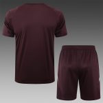 Bayern Munich 24-25 Short Sleeve Training T-Shirt Red Brown - 图片 2