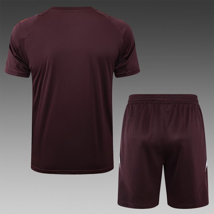 Bayern Munich 24-25 Short Sleeve Training T-Shirt Red Brown - 图片 2