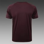 Bayern Munich 24-25 Short Sleeve Training T-Shirt Red Brown - 图片 3