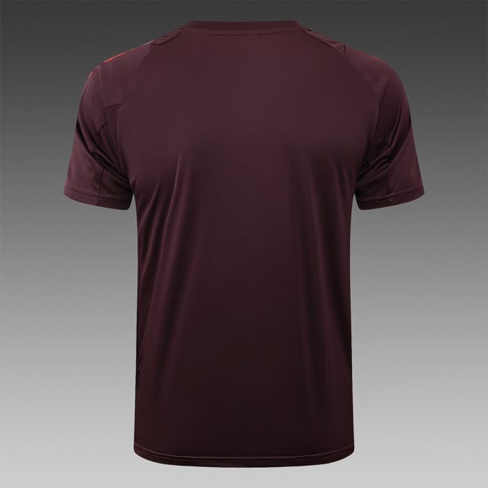 Bayern Munich 24-25 Short Sleeve Training T-Shirt Red Brown - 图片 3