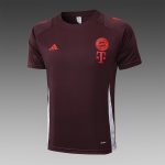 Bayern Munich 24-25 Short Sleeve Training T-Shirt Red Brown - 图片 4