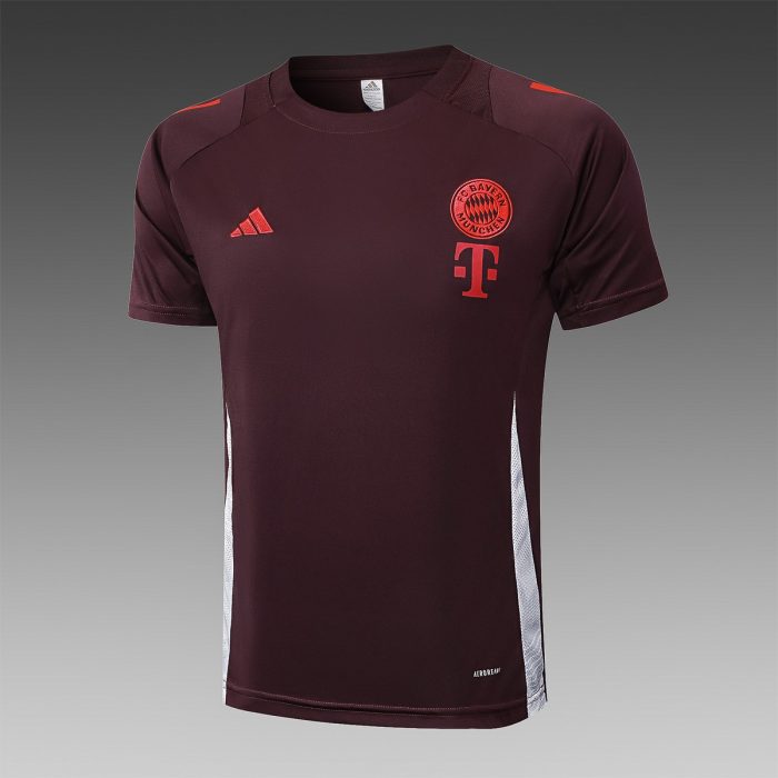 Bayern Munich 24-25 Short Sleeve Training T-Shirt Red Brown - 图片 4