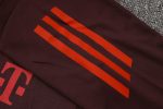 Bayern Munich 24-25 Short Sleeve Training T-Shirt Red Brown - 图片 8