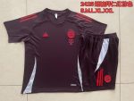 Bayern Munich 24-25 Short Sleeve Training T-Shirt Red Brown - 图片 9