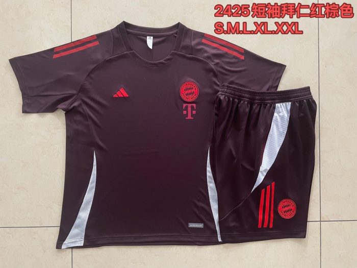 Bayern Munich 24-25 Short Sleeve Training T-Shirt Red Brown - 图片 9