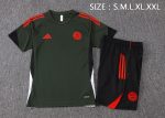 Bayern Munich Dark Green Short Sleeve Training Suit - 图片 2