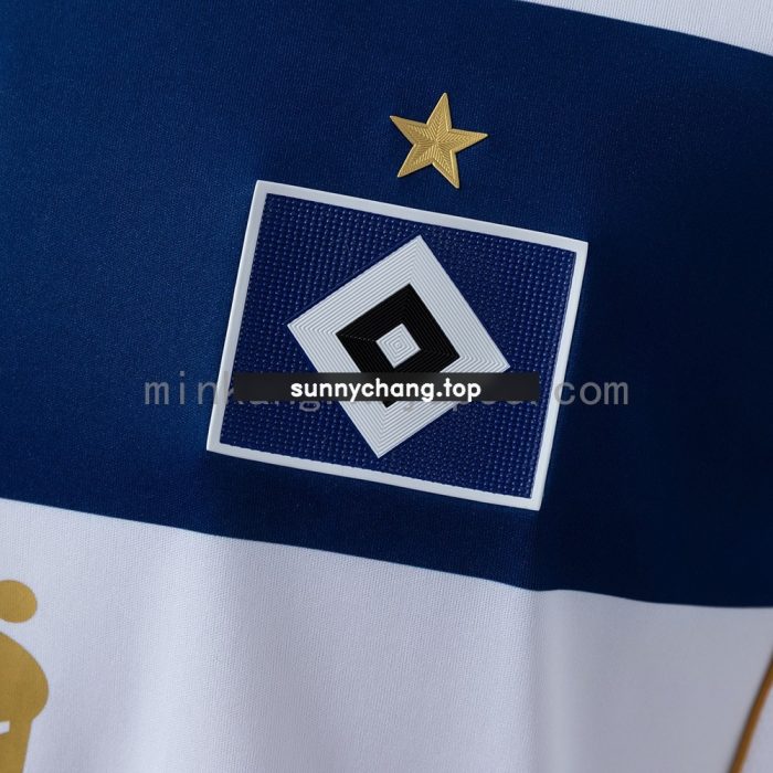 Hamburger SV 25/26 Special Edition Jersey - 图片 7