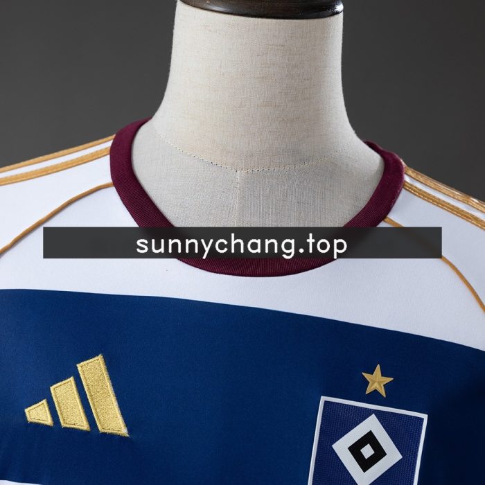 Hamburger SV 25/26 Special Edition Jersey - 图片 9