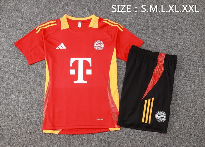 Bayern Munich 24-25 Red Short Sleeve Training Shirt - 图片 2