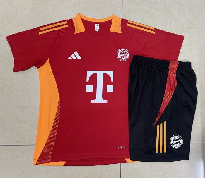 Bayern Munich 24-25 Red Short Sleeve Training Shirt - 图片 9