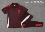 Bayern Munich 24-25 Polo Shirt Red Brown - 图片 2