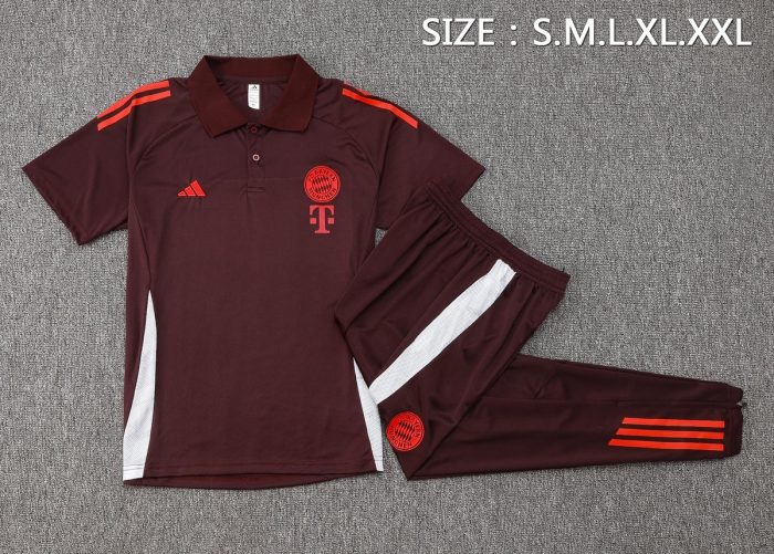 Bayern Munich 24-25 Polo Shirt Red Brown - 图片 2